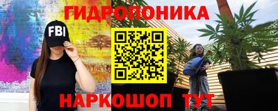 эйфоретик Аргун