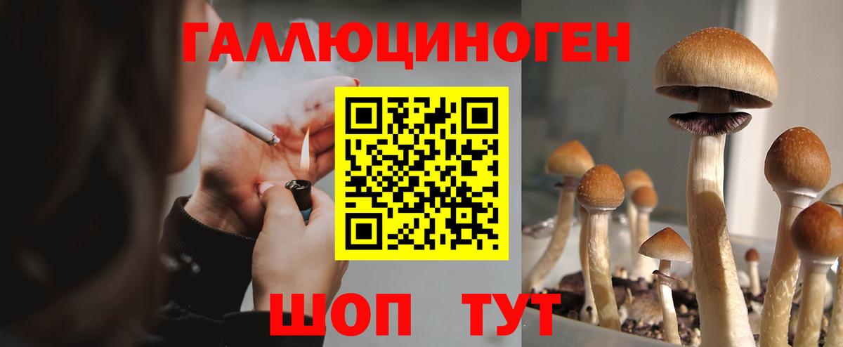 Бахчисарай  Псилоцибиновые грибы Magic Shrooms  где купить   Вход с VPN 